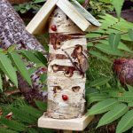 Lieveheersbeestjes insecten toren