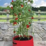 Tomaten kweekzak met klimrek
