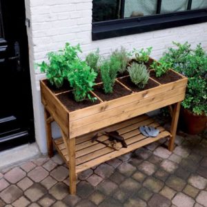 Houten kweekbak op poten Gariguette-1475