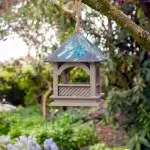 Bempton vogelvoedertafel
