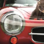 Marterafweer voor wagens