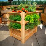 Verhoogde moestuinbak Westmann XL 350 L Lariks
