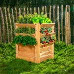 Verhoogde moestuinbak Westmann L 250 L Lariks