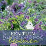 Een tuin barstensvol bloemen