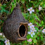 Vogelnest voor kleine en middelgrote vogels